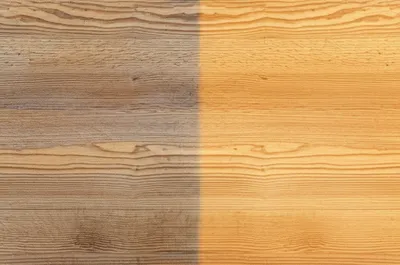 Illustration clean - Image 1