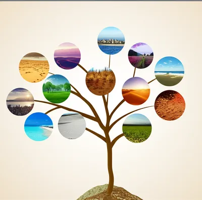 Illustration choices - Image 1