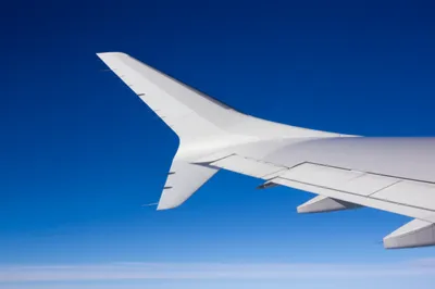 Illustration trims - Image 1