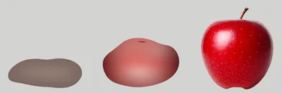 Illustration apples - Image 1