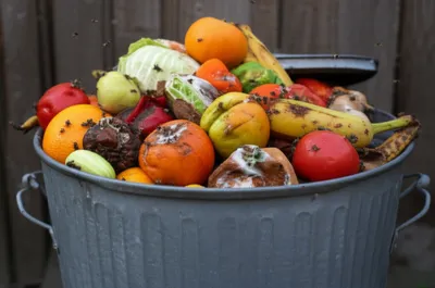 Illustration maggots - Image 1