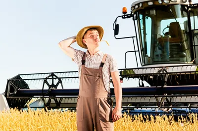 Illustration yokel - Image 1