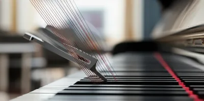 Illustration vibrated - Image 1