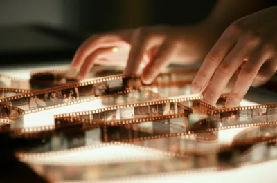 Illustration cuts - Image 1