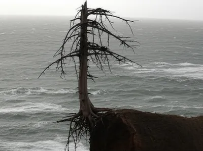 Illustration went - Image 1