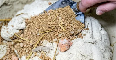 Illustration gauging - Image 1