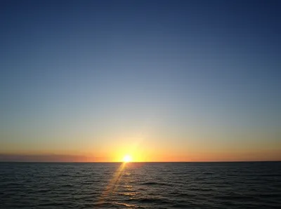 Illustration uprose - Image 1