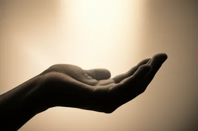 Illustration bottom - Image 1