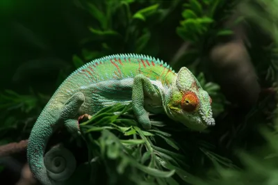 Illustration unnoticeable - Image 1