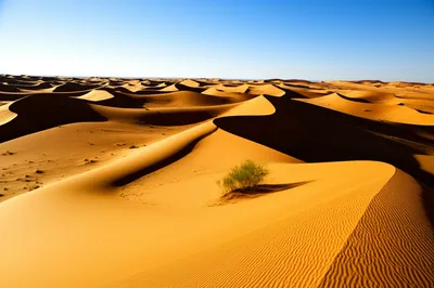 Illustration erg - Image 1