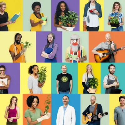 Illustration tabulates - Image 1