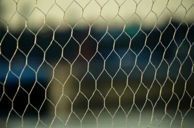 Illustration meshes - Image 1