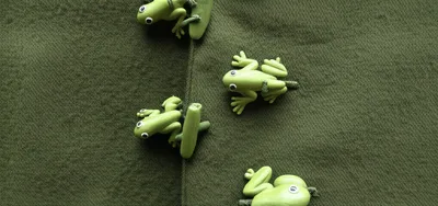 Illustration frog - Image 1