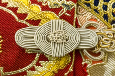 Illustration frogs - Image 1