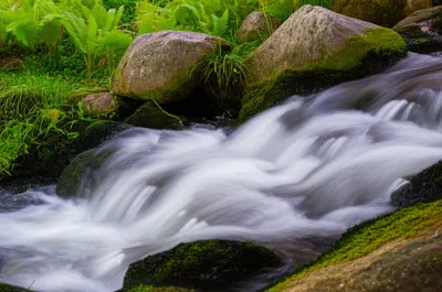 Illustration fresh - Image 1