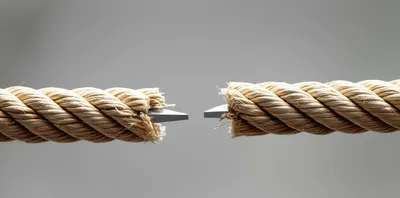 Illustration decided - Image 1