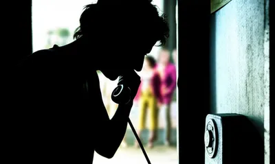 Illustration fink - Image 1