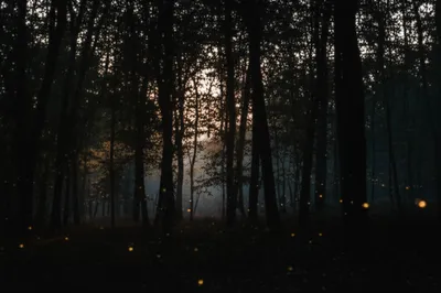 Illustration gloom - Image 1