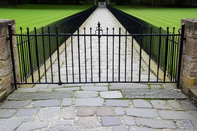 Illustration limited