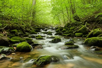 Illustration runner - Image 1