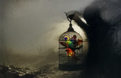 Illustration captors - Image 1