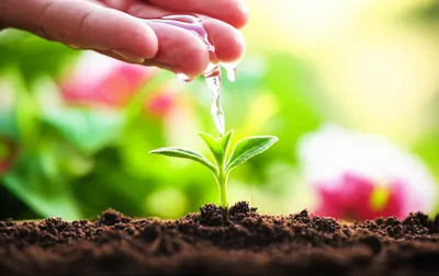 Illustration abortions - Image 1