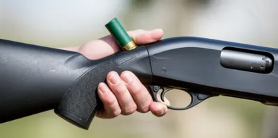 Illustration wrack - Image 1