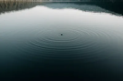 Illustration fret - Image 1