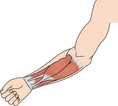 Illustration skinning - Image 1