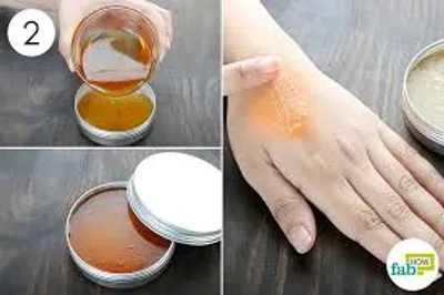 Illustration salve - Image 2