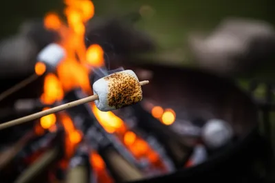 Illustration singeing - Image 1