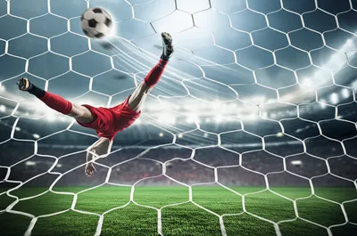 Illustration finishes - Image 1