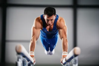 Illustration dip - Image 1