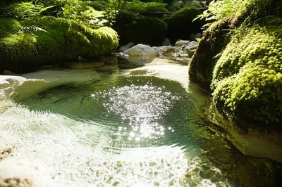 Illustration purest - Image 1