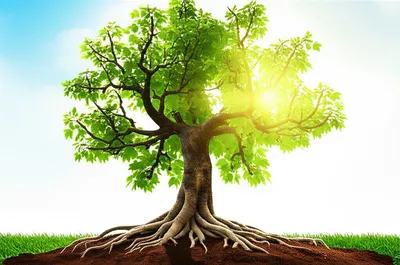 Illustration blessing - Image 1