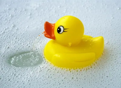 Illustration quacks - Image 1