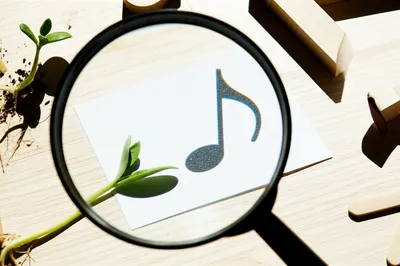 Illustration assessments - Image 1