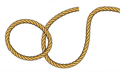 Illustration illustrate - Image 1