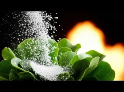 Illustration saltpetre - Image 1