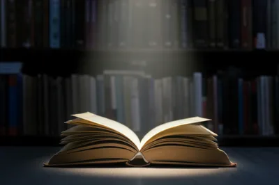 Illustration pertinent