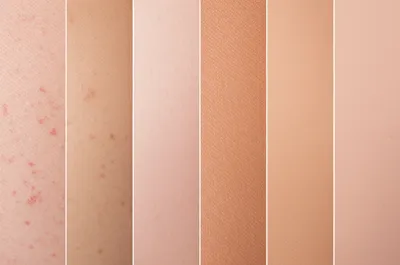 Illustration foundation - Image 1