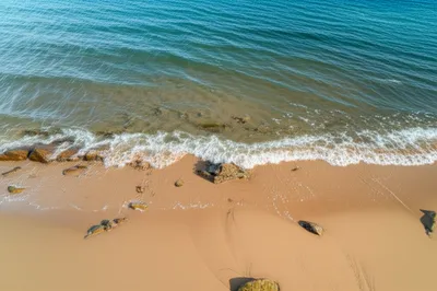 Illustration coastlines