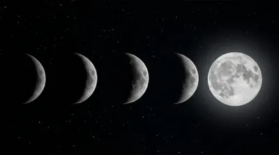 Illustration waxed - Image 1