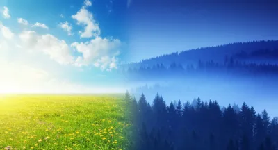 Illustration stitching - Image 1