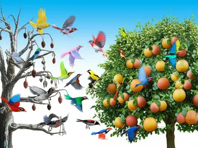 Illustration migrate - Image 1