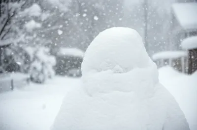 Illustration snowed - Image 1