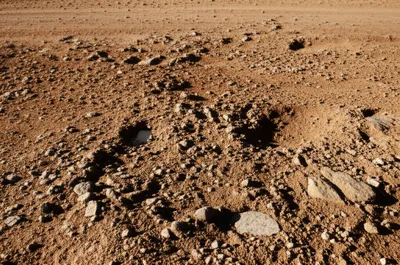 Illustration bumpy - Image 1