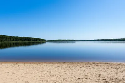 Illustration shores - Image 1