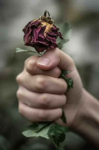 Illustration wrung - Image 1