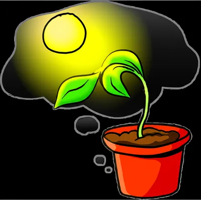 Illustration conditional